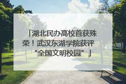 湖北民办高校首获殊荣！武汉东湖学院获评“全国文明校园”