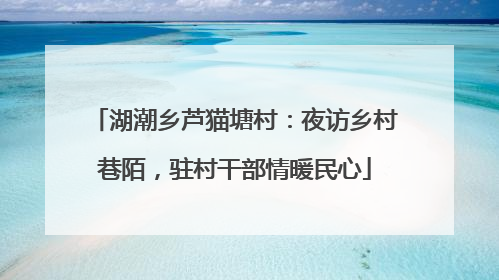 湖潮乡芦猫塘村：夜访乡村巷陌，驻村干部情暖民心