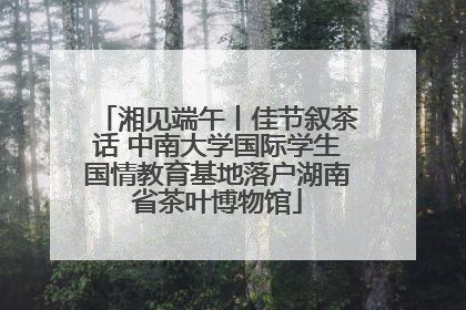 湘见端午丨佳节叙茶话 中南大学国际学生国情教育基地落户湖南省茶叶博物馆