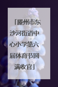 滕州市东沙河街道中心小学第六届体育节圆满收官