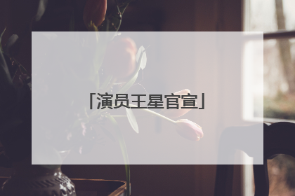 演员王星官宣