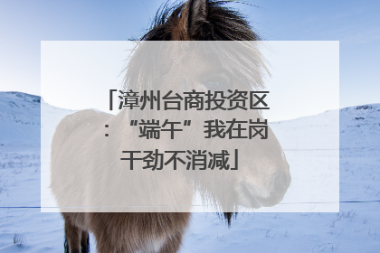 漳州台商投资区：“端午”我在岗 干劲不消减