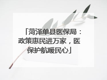菏泽单县医保局：政策惠民进万家，医保护航暖民心