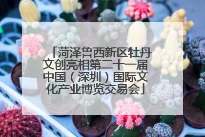 菏泽鲁西新区牡丹文创亮相第二十一届中国（深圳）国际文化产业博览交易会