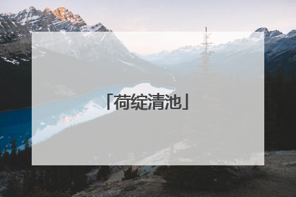 荷绽清池