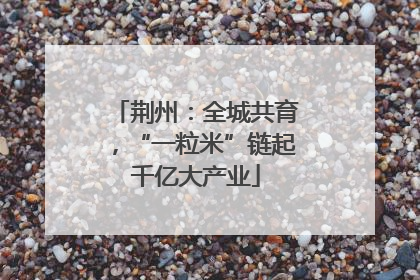荆州：全城共育，“一粒米”链起千亿大产业