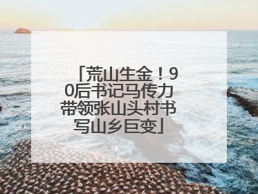荒山生金！90后书记马传力带领张山头村书写山乡巨变