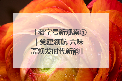 老字号新观察①｜党建领航 六味斋焕发时代新韵