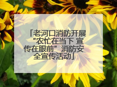 老河口消防开展“农忙在当下 宣传在眼前”消防安全宣传活动