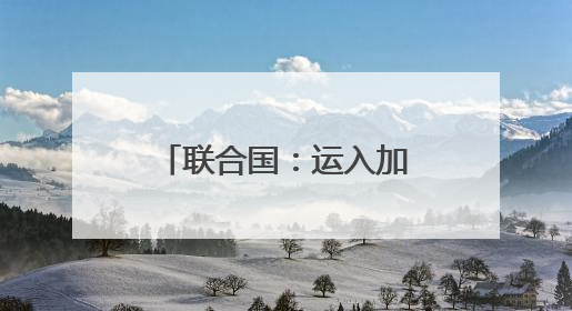 联合国：运入加沙的大部分面粉遭劫掠或哄抢