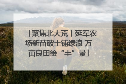 聚焦北大荒丨延军农场新苗破土铺绿浪 万亩良田绘“丰”景