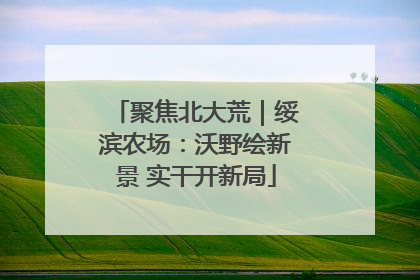 聚焦北大荒｜绥滨农场：沃野绘新景 实干开新局