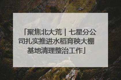 聚焦北大荒|七星分公司扎实推进水稻育秧大棚基地清理整治工作