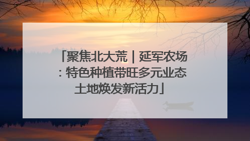 聚焦北大荒｜延军农场：特色种植带旺多元业态 土地焕发新活力