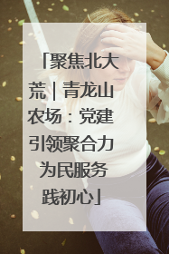 聚焦北大荒｜青龙山农场：党建引领聚合力 为民服务践初心