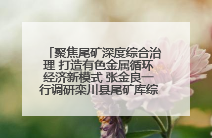 聚焦尾矿深度综合治理 打造有色金属循环经济新模式 张金良一行调研栾川县尾矿库综合治理工作