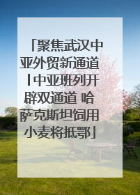 聚焦武汉中亚外贸新通道│中亚班列开辟双通道 哈萨克斯坦饲用小麦将抵鄂