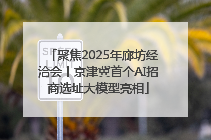 聚焦2025年廊坊经洽会丨京津冀首个AI招商选址大模型亮相