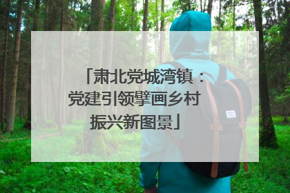 肃北党城湾镇：党建引领擘画乡村振兴新图景