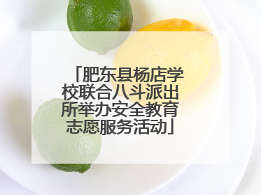 肥东县杨店学校联合八斗派出所举办安全教育志愿服务活动