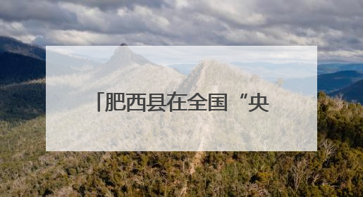 肥西县在全国“央馆人工智能课程”规模化应用交流研讨活动作交流发言