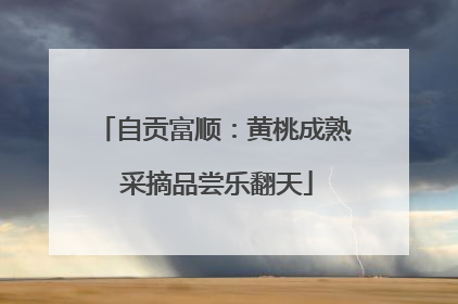 自贡富顺：黄桃成熟 采摘品尝乐翻天