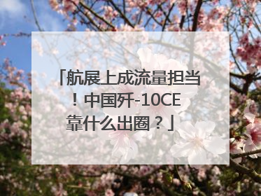 航展上成流量担当！中国歼-10CE靠什么出圈？
