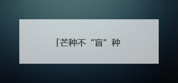 芒种不“盲”种 AI“慧”种田