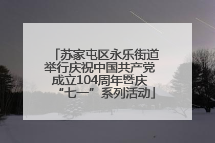 苏家屯区永乐街道举行庆祝中国共产党成立104周年暨庆“七一”系列活动