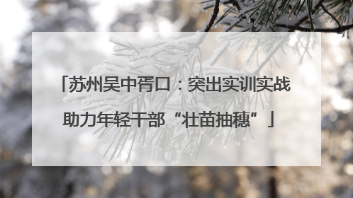 苏州吴中胥口：突出实训实战 助力年轻干部“壮苗抽穗”