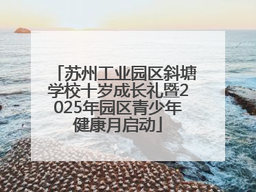 苏州工业园区斜塘学校十岁成长礼暨2025年园区青少年健康月启动