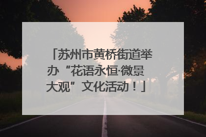 苏州市黄桥街道举办“花语永恒·微景大观”文化活动！