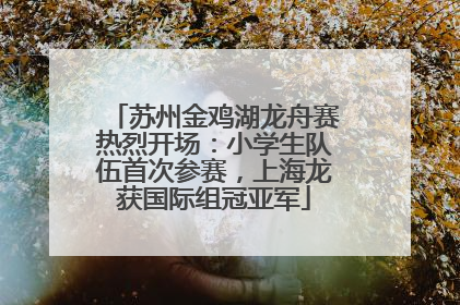 苏州金鸡湖龙舟赛热烈开场：小学生队伍首次参赛，上海龙获国际组冠亚军