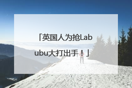 英国人为抢Labubu大打出手！