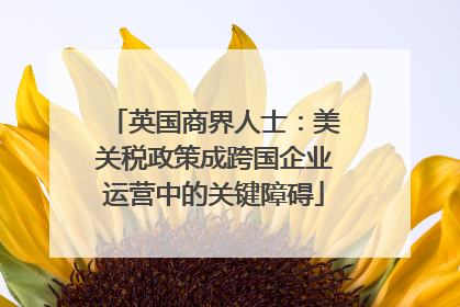 英国商界人士：美关税政策成跨国企业运营中的关键障碍