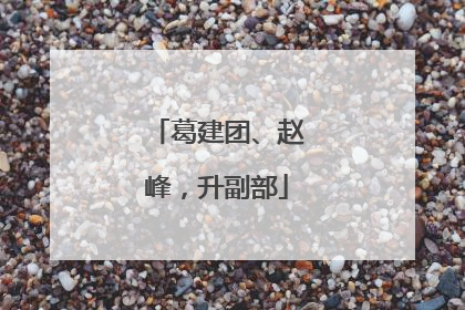 葛建团、赵峰，升副部