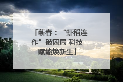 蕲春：“虾稻连作”破困局 科技赋能焕新生