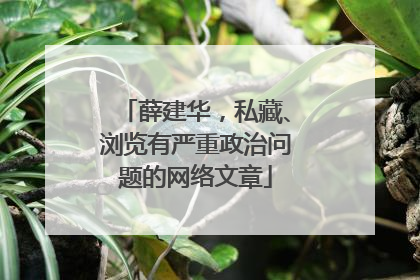 薛建华，私藏、浏览有严重政治问题的网络文章