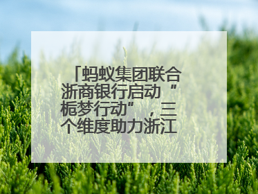 蚂蚁集团联合浙商银行启动“栀梦行动”，三个维度助力浙江下姜村建设共富示范区示范点