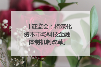证监会：将深化资本市场科技金融体制机制改革