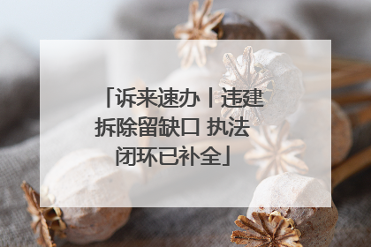 诉来速办丨违建拆除留缺口 执法闭环已补全