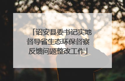 诏安县委书记实地督导省生态环保督察反馈问题整改工作