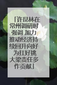 许昆林在常州调研时强调 加力推动经济持续回升向好 为扛好挑大梁责任多作贡献