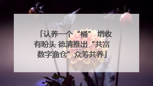 认养一个“桶” 增收有盼头 德清推出“共富数字渔仓”众筹共养