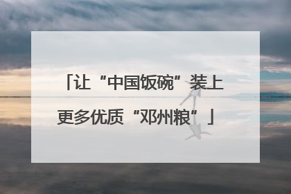 让“中国饭碗”装上更多优质“邓州粮”