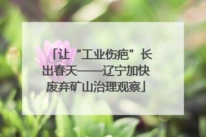 让“工业伤疤”长出春天——辽宁加快废弃矿山治理观察