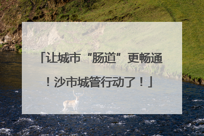 让城市“肠道”更畅通！沙市城管行动了！