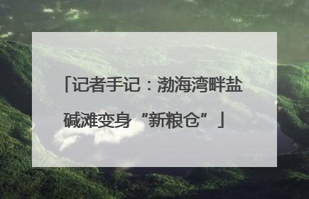 记者手记：渤海湾畔盐碱滩变身“新粮仓”