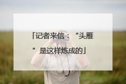 记者来信：“头雁”是这样炼成的