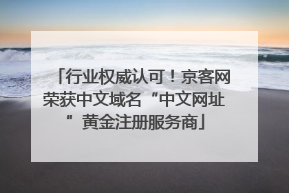 行业权威认可！京客网荣获中文域名“中文网址”黄金注册服务商